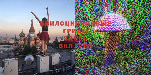 бошки Новозыбков