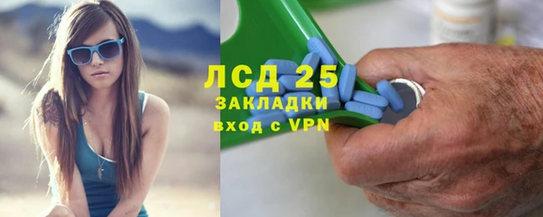 ГАЛЛЮЦИНОГЕННЫЕ ГРИБЫ Няндома