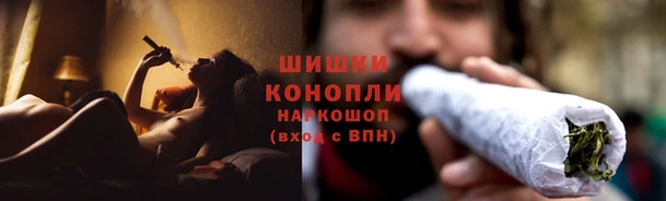 стафф Новодвинск