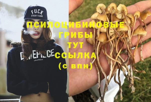 трава Нягань
