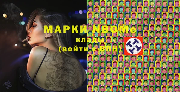 стафф Новодвинск