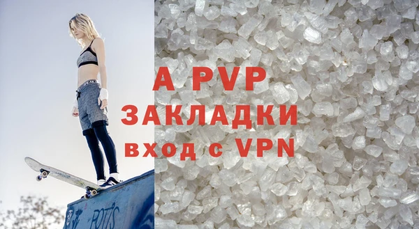 стафф Новодвинск