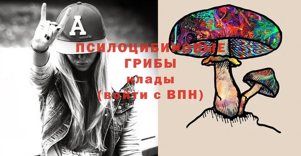 бошки Новозыбков