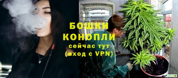 ГАЛЛЮЦИНОГЕННЫЕ ГРИБЫ Няндома