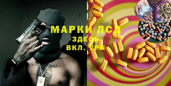 ГАЛЛЮЦИНОГЕННЫЕ ГРИБЫ Няндома