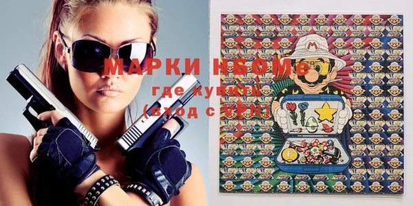 стафф Новодвинск