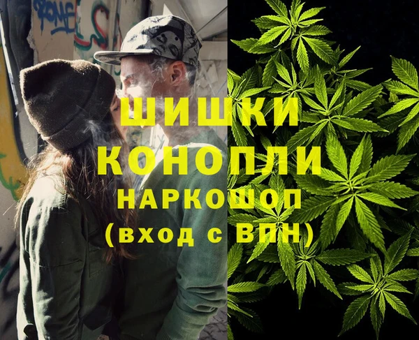 бошки Новозыбков