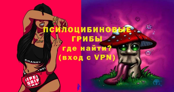 стафф Новодвинск