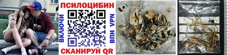 Галлюциногенные грибы Cubensis  Кукмор 